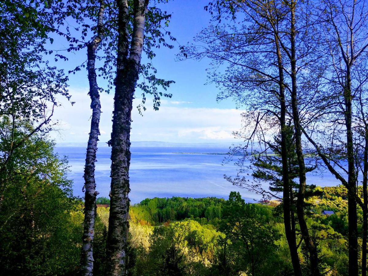 Auberge De La Rive De Charlevoix - Auberge De Jeunesse Familiale Pour Voyageurs De Tous Ages Saint-Joseph-de-la-Rive 外观 照片